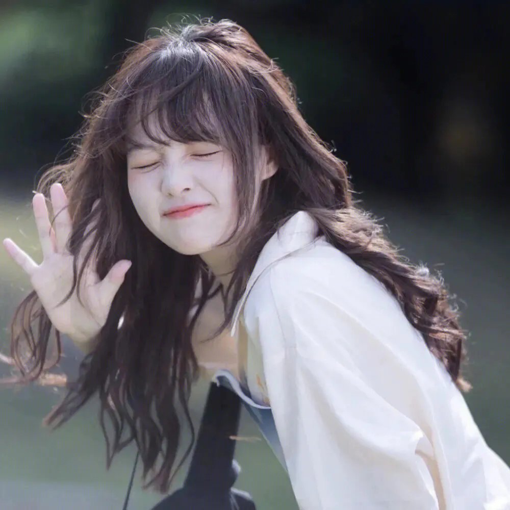 神犬小七第三季